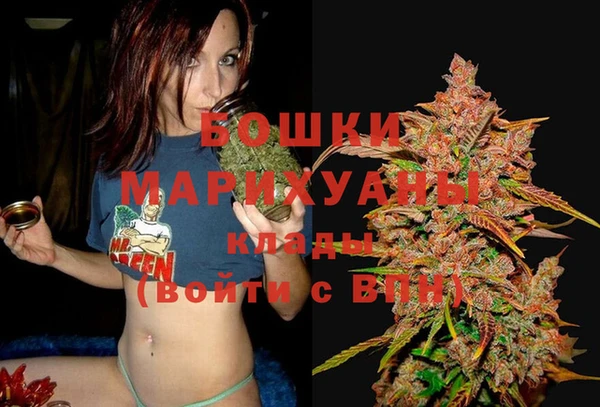ПСИЛОЦИБИНОВЫЕ ГРИБЫ Михайловск