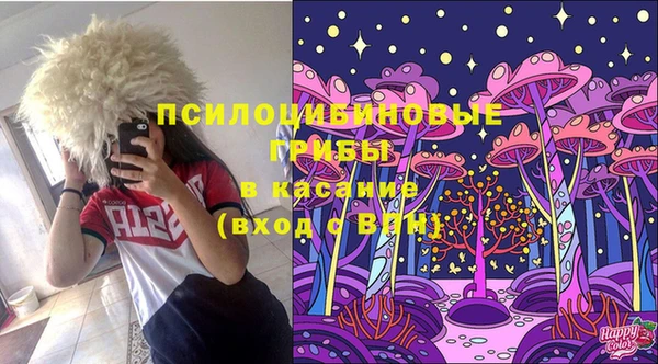 хмурый Михайлов