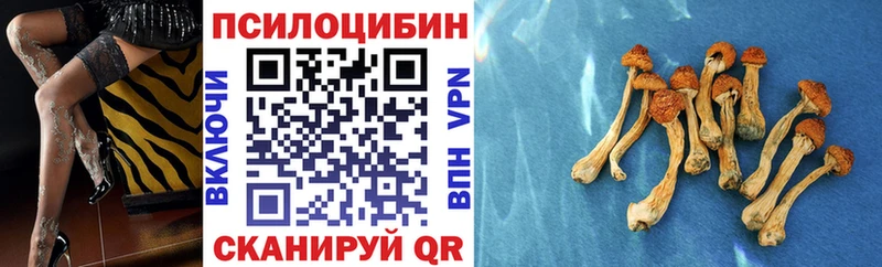 Галлюциногенные грибы прущие грибы  Купить  Козловка 